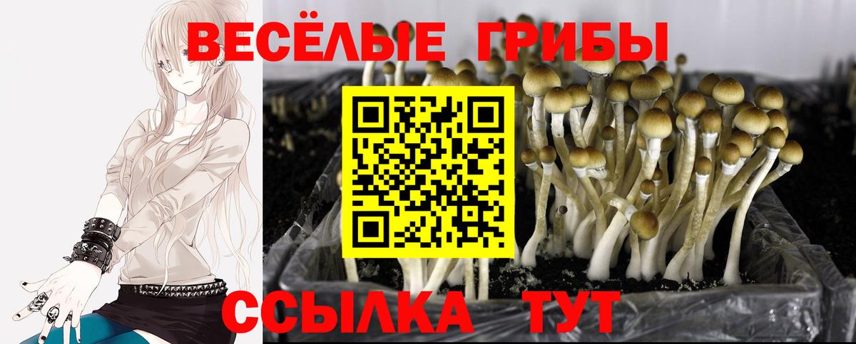 Россия  МАРИХУАНА  Гашиш  ГАШИШ  LSD-25  КОКАИН  APVP СК кристаллы  Вход с VPN  Купить наркоту  Меф МЯУ МЯУ кристаллы 
